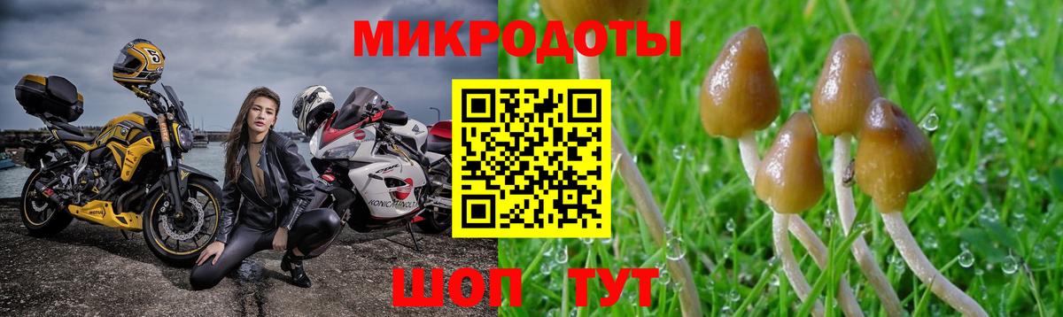 Каменск-Уральский  Псилоцибиновые грибы прущие грибы  Псилоцибиновые грибы Cubensis  Вход с VPN 
