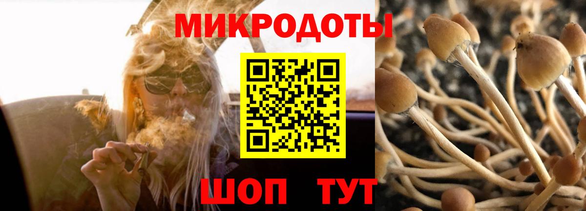 Псилоцибиновые грибы GOLDEN TEACHER Каменск-Уральский